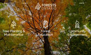 Forests Ontario banner